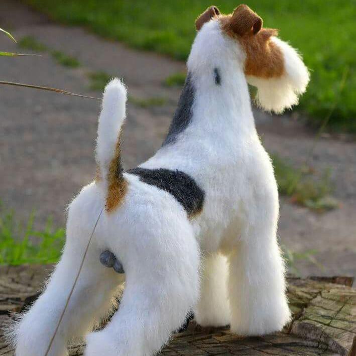 Wire Fox Terrier- Dav Pet Lovers